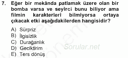 Film ve Video Kültürü 2012 - 2013 Ara Sınavı 7.Soru