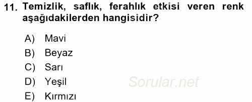 Çocukta Sanat Eğitimi Ve Yaratıcılık 2017 - 2018 3 Ders Sınavı 11.Soru