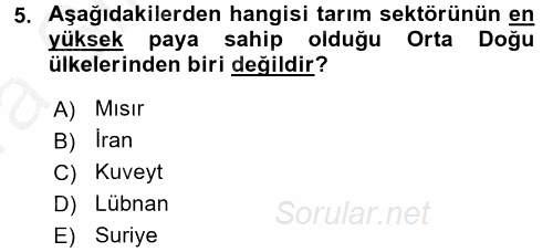 Orta Doğuda Siyaset 2016 - 2017 Ara Sınavı 5.Soru