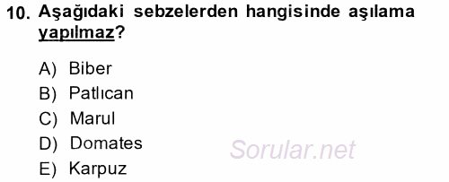 Örtü Altı Üretim Sistemleri 2014 - 2015 Tek Ders Sınavı 10.Soru