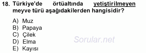 Örtü Altı Üretim Sistemleri 2014 - 2015 Tek Ders Sınavı 18.Soru