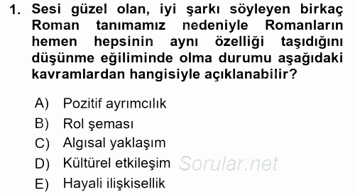 Sosyal Psikoloji 2 2015 - 2016 Dönem Sonu Sınavı 1.Soru