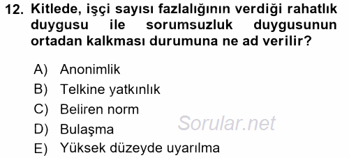 Sosyal Psikoloji 2 2015 - 2016 Dönem Sonu Sınavı 12.Soru