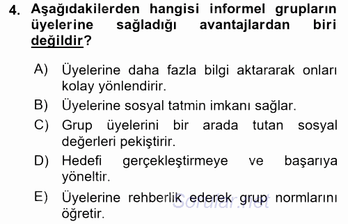 Sosyal Psikoloji 2 2015 - 2016 Dönem Sonu Sınavı 4.Soru