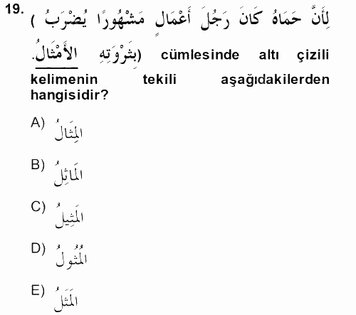 Arapça 2 2013 - 2014 Ara Sınavı 19.Soru