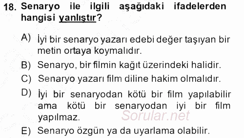 Güzel Sanatlar 2013 - 2014 Dönem Sonu Sınavı 18.Soru