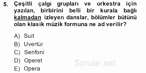 Güzel Sanatlar 2013 - 2014 Dönem Sonu Sınavı 5.Soru