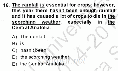 Pedagojik Gramer 1 2014 - 2015 Ara Sınavı 16.Soru