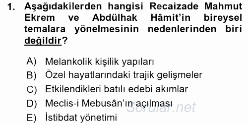 II. Abdülhamit Dönemi Türk Edebiyatı 2015 - 2016 Ara Sınavı 1.Soru