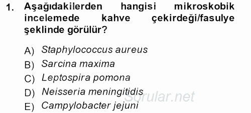 Temel Veteriner Mikrobiyoloji ve İmmünoloji 2013 - 2014 Ara Sınavı 1.Soru