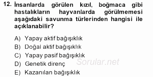 Temel Veteriner Mikrobiyoloji ve İmmünoloji 2013 - 2014 Ara Sınavı 12.Soru