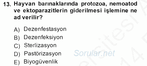 Temel Veteriner Mikrobiyoloji ve İmmünoloji 2013 - 2014 Ara Sınavı 13.Soru