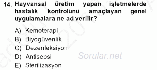 Temel Veteriner Mikrobiyoloji ve İmmünoloji 2013 - 2014 Ara Sınavı 14.Soru