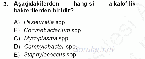 Temel Veteriner Mikrobiyoloji ve İmmünoloji 2013 - 2014 Ara Sınavı 3.Soru