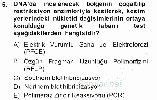 Temel Veteriner Mikrobiyoloji ve İmmünoloji 2013 - 2014 Ara Sınavı 6.Soru