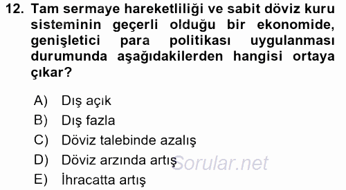 Uluslararası İktisat Politikası 2015 - 2016 Tek Ders Sınavı 12.Soru