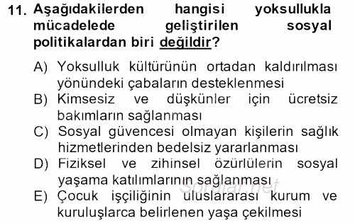 Sosyal Sorunlar 2013 - 2014 Ara Sınavı 11.Soru