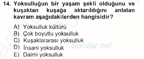 Sosyal Sorunlar 2013 - 2014 Ara Sınavı 14.Soru