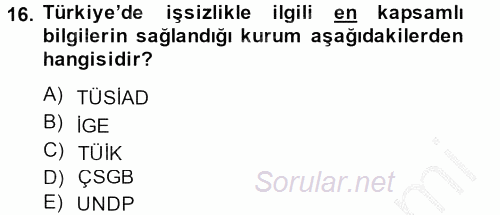 Sosyal Sorunlar 2013 - 2014 Ara Sınavı 16.Soru