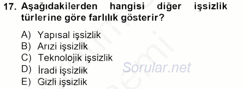 Sosyal Sorunlar 2013 - 2014 Ara Sınavı 17.Soru