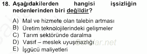 Sosyal Sorunlar 2013 - 2014 Ara Sınavı 18.Soru