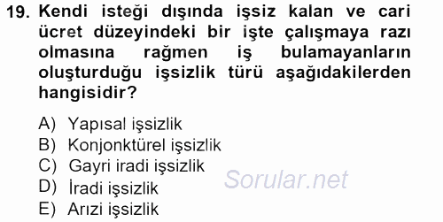 Sosyal Sorunlar 2013 - 2014 Ara Sınavı 19.Soru