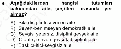 Sosyal Sorunlar 2013 - 2014 Ara Sınavı 8.Soru