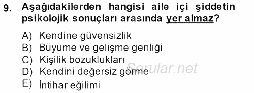 Sosyal Sorunlar 2013 - 2014 Ara Sınavı 9.Soru