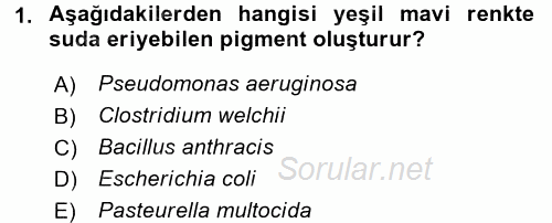 Temel Veteriner Mikrobiyoloji ve İmmünoloji 2015 - 2016 Ara Sınavı 1.Soru