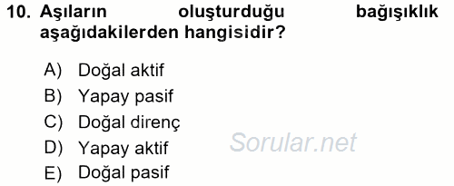 Temel Veteriner Mikrobiyoloji ve İmmünoloji 2015 - 2016 Ara Sınavı 10.Soru