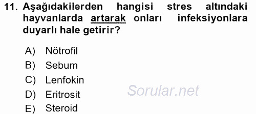 Temel Veteriner Mikrobiyoloji ve İmmünoloji 2015 - 2016 Ara Sınavı 11.Soru