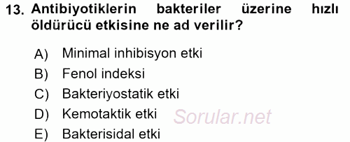 Temel Veteriner Mikrobiyoloji ve İmmünoloji 2015 - 2016 Ara Sınavı 13.Soru