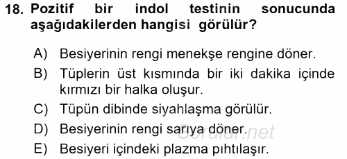 Temel Veteriner Mikrobiyoloji ve İmmünoloji 2015 - 2016 Ara Sınavı 18.Soru