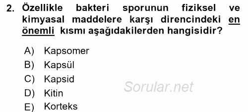 Temel Veteriner Mikrobiyoloji ve İmmünoloji 2015 - 2016 Ara Sınavı 2.Soru