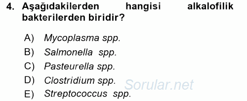 Temel Veteriner Mikrobiyoloji ve İmmünoloji 2015 - 2016 Ara Sınavı 4.Soru