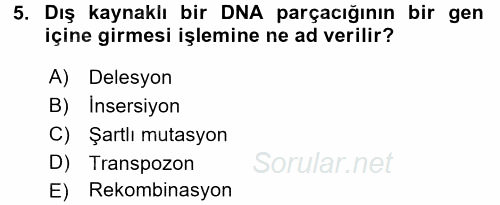 Temel Veteriner Mikrobiyoloji ve İmmünoloji 2015 - 2016 Ara Sınavı 5.Soru