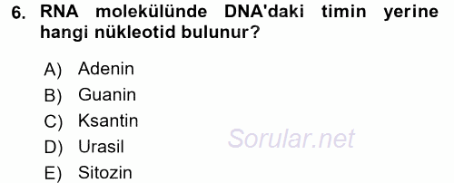 Temel Veteriner Mikrobiyoloji ve İmmünoloji 2015 - 2016 Ara Sınavı 6.Soru