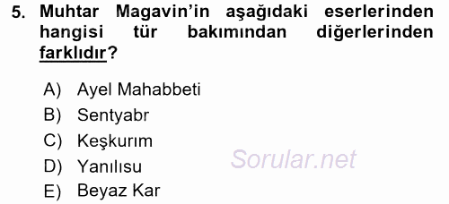 Çağdaş Türk Edebiyatları 2 2017 - 2018 Ara Sınavı 5.Soru
