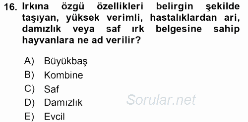 Hayvancılık Ekonomisi 2017 - 2018 3 Ders Sınavı 16.Soru