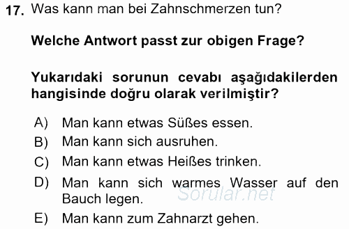 Almanca 2 2017 - 2018 Ara Sınavı 17.Soru