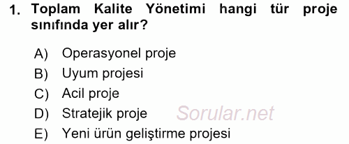 Proje Yönetimi 2016 - 2017 Ara Sınavı 1.Soru