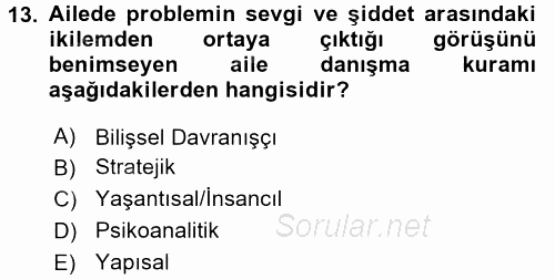 Anne Baba Eğitimi 2017 - 2018 Ara Sınavı 13.Soru