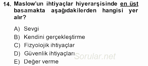 İş ve Yaşamda Motivasyon 2014 - 2015 Tek Ders Sınavı 14.Soru