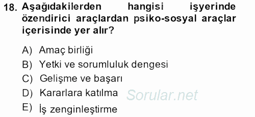 İş ve Yaşamda Motivasyon 2014 - 2015 Tek Ders Sınavı 18.Soru