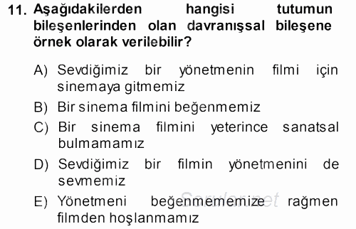 Sosyal Psikoloji 1 2013 - 2014 Dönem Sonu Sınavı 11.Soru