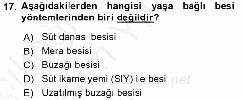 Temel Yem Bilgisi ve Hayvan Besleme 2016 - 2017 3 Ders Sınavı 17.Soru