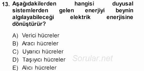 Davranış Bilimlerine Giriş 2013 - 2014 Dönem Sonu Sınavı 13.Soru