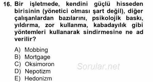 İşletmelerde Sosyal Sorumluluk Ve Etik 2012 - 2013 Dönem Sonu Sınavı 16.Soru