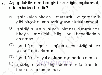 Sosyal Politika 2013 - 2014 Tek Ders Sınavı 7.Soru