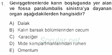 Temel Veteriner Anatomi 2012 - 2013 Tek Ders Sınavı 1.Soru